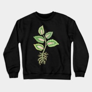 Coleus Cutting Crewneck Sweatshirt